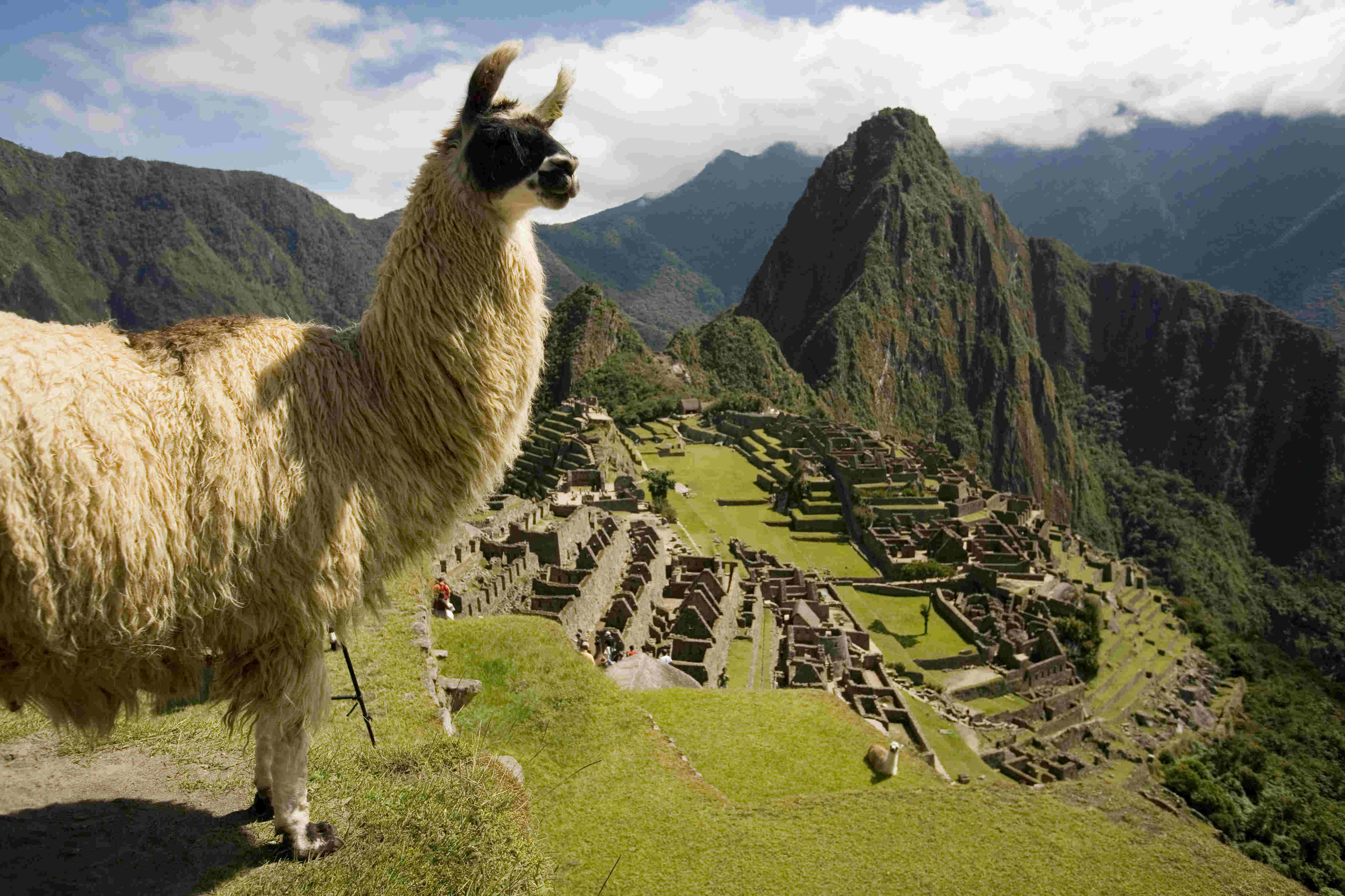 ciudadela-de-machu-picchu-orellana-expeditions