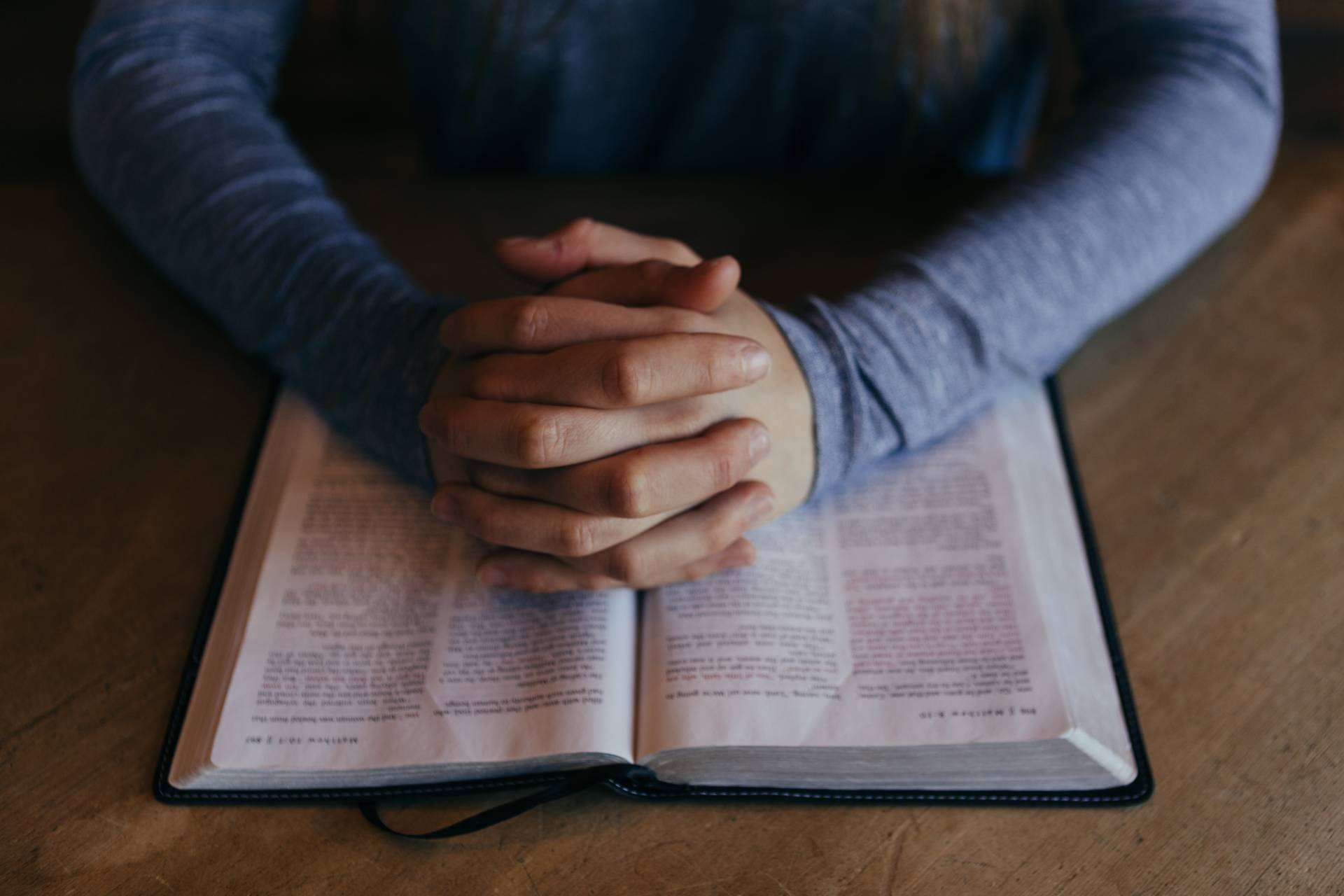 domingo de la palabra de dios