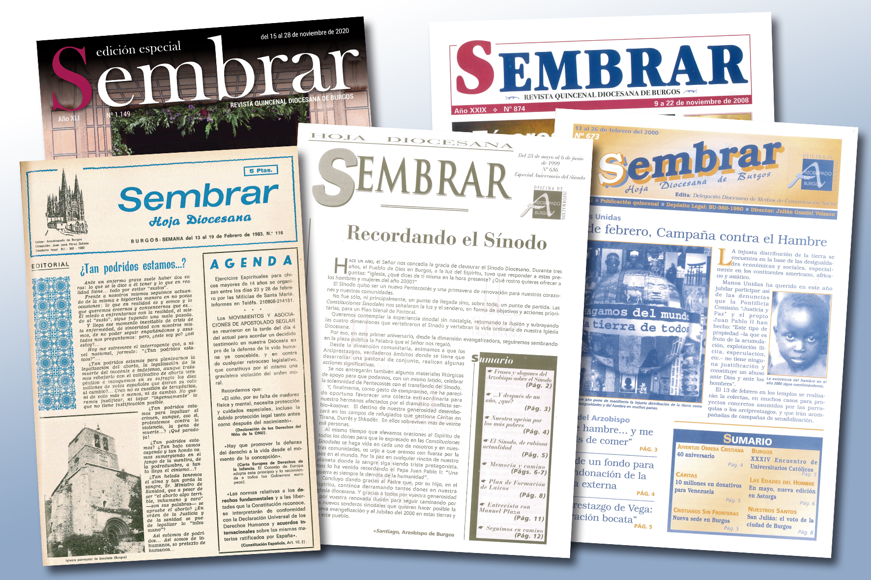 revista Sembrar
