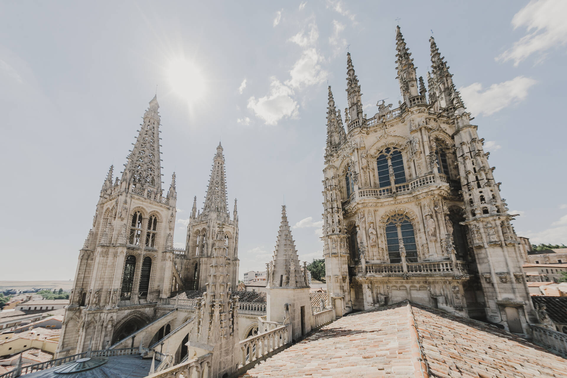 catedral de burgos