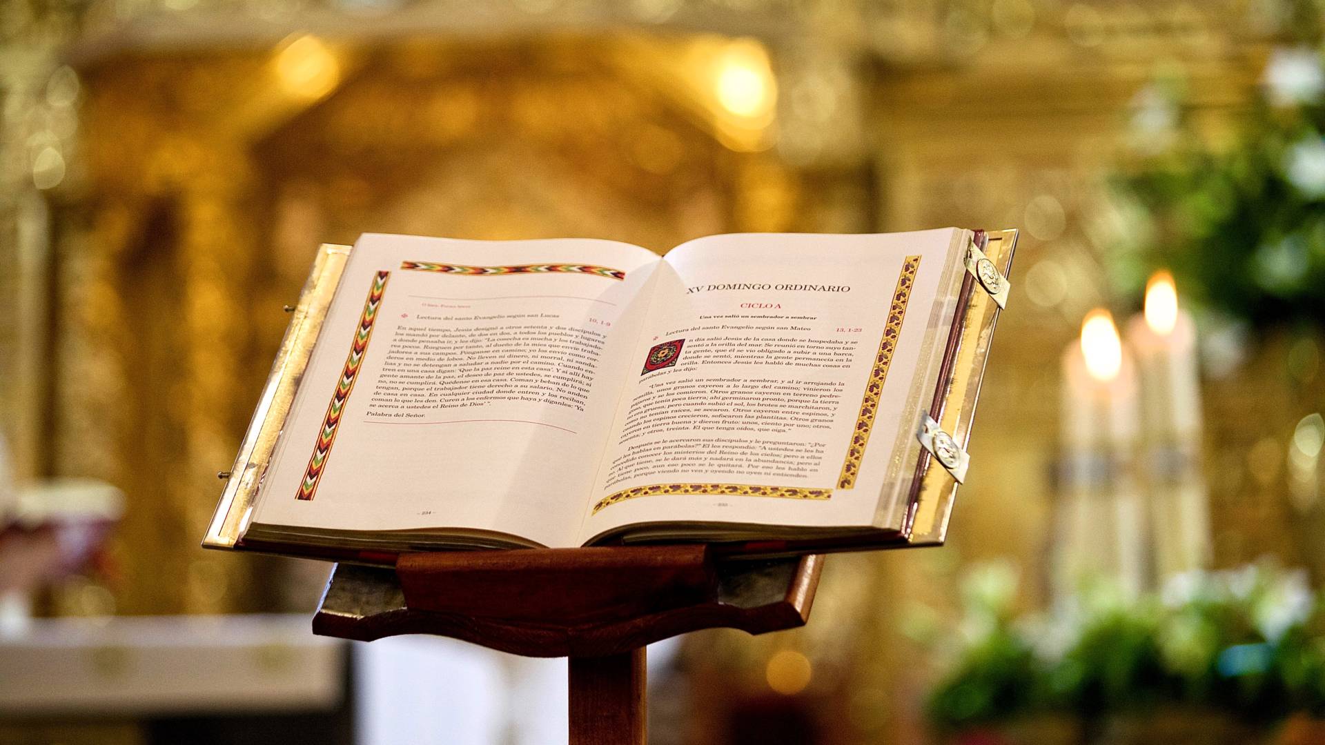 «La Palabra de Dios ilumina el camino»