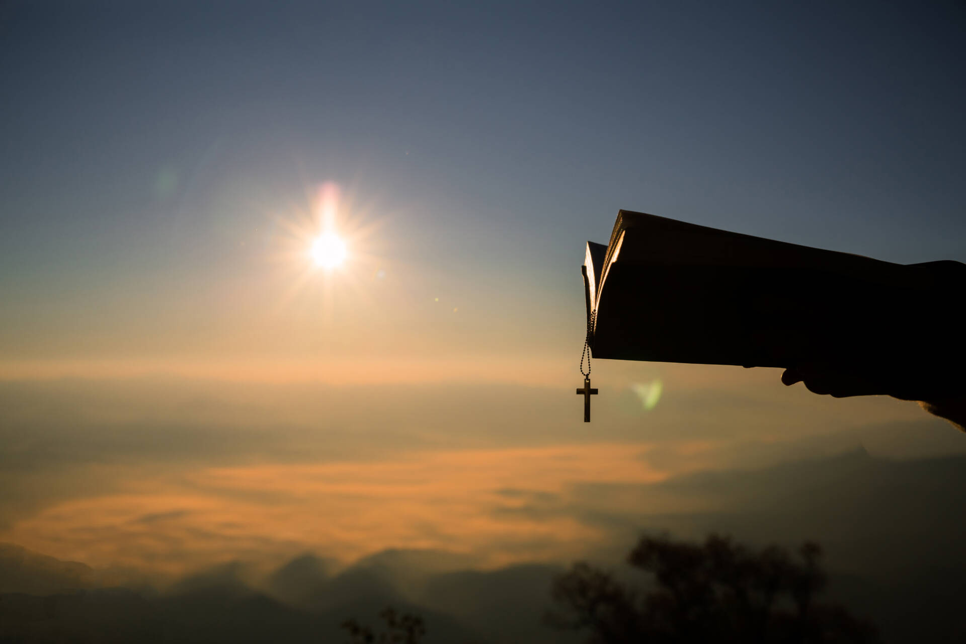 «La misericordia, camino de fraternidad y de paz»