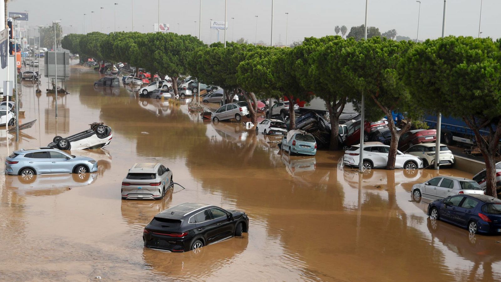 Cáritas Burgos envía 220.000 euros para los afectados por la dana