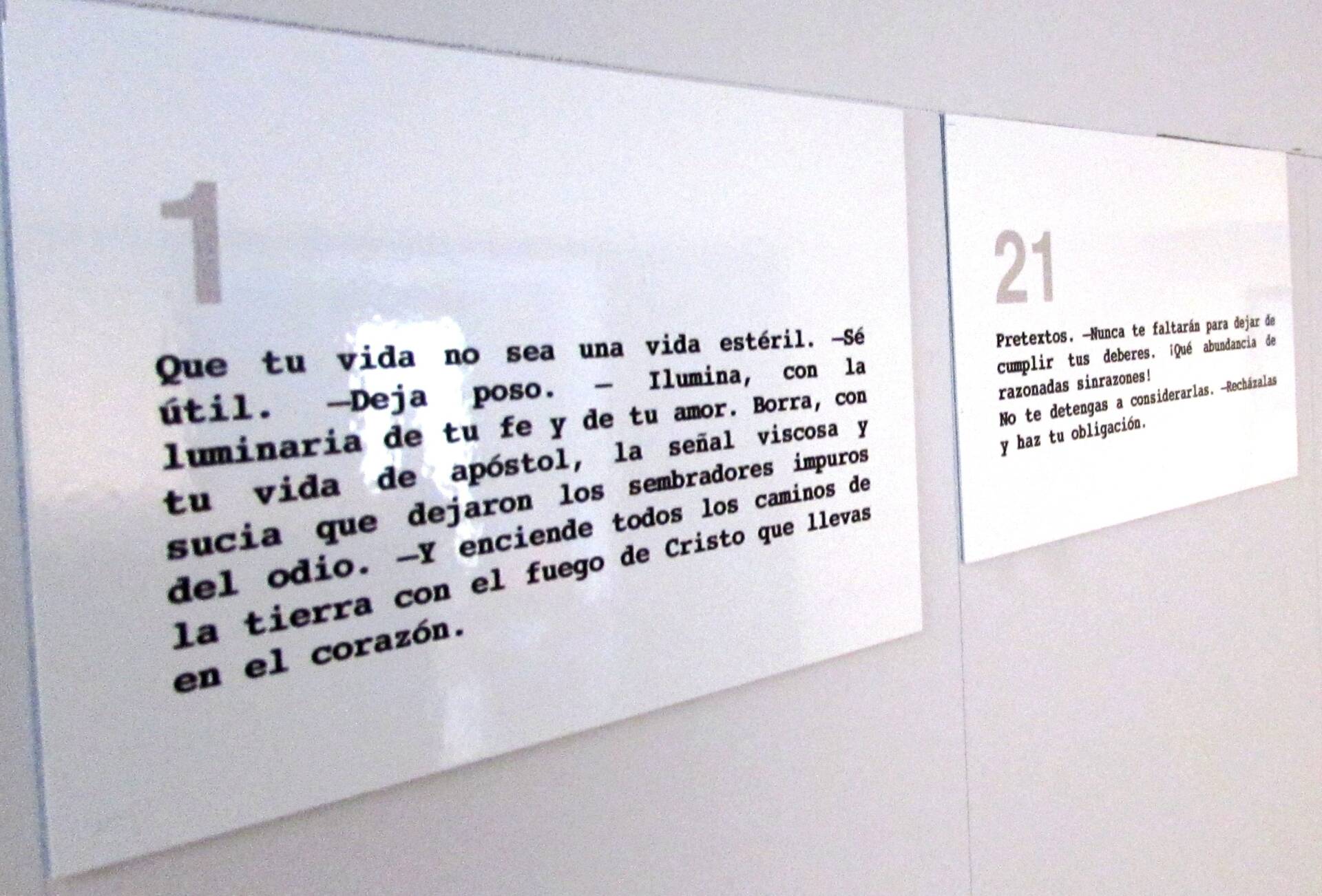 camino 1