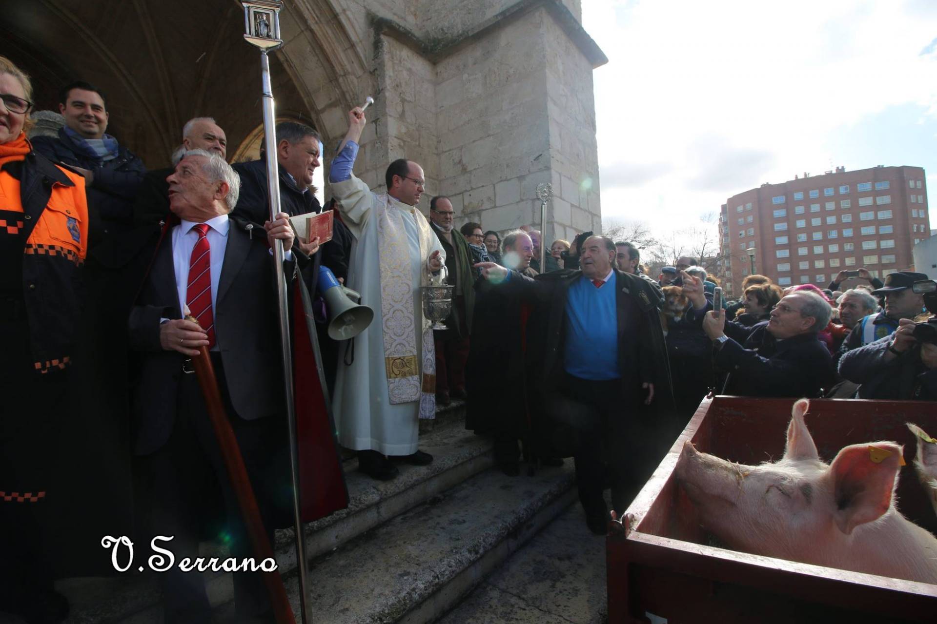 san anton gamonal 6